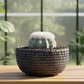 Peety Pots by Pablo