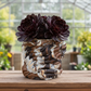 Succy Ceramics