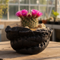 Succy Ceramics