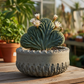 Peety Pots by Pablo