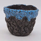 Cooked Earth