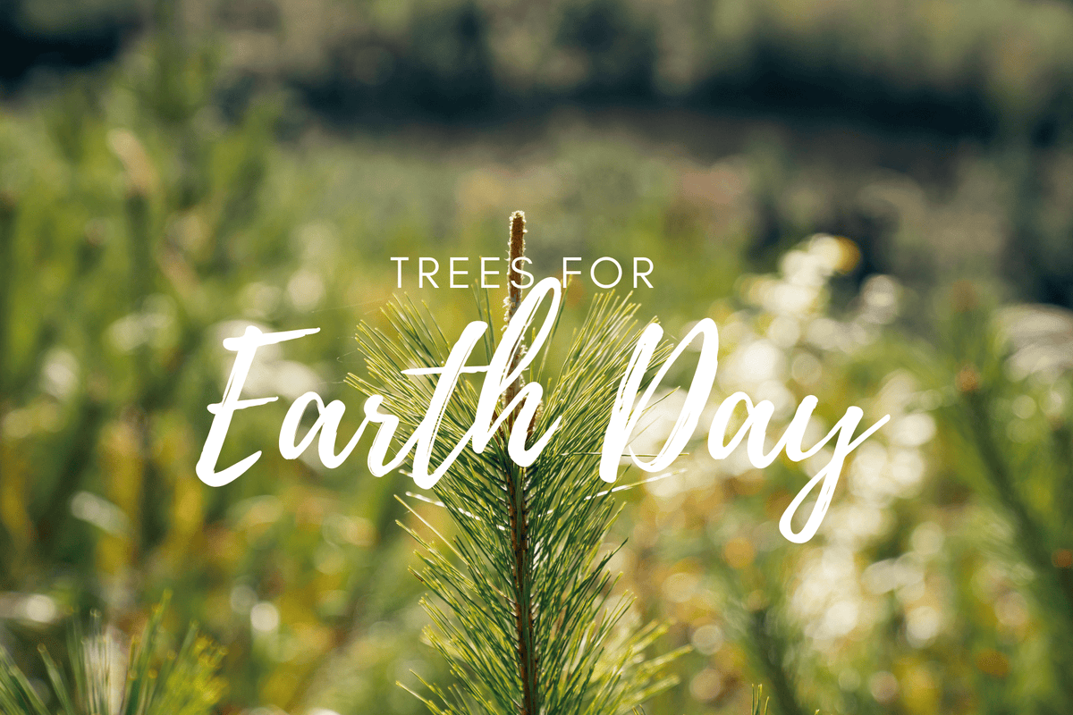 Plant a Tree for Earth Day 2026 - A Living Tribute