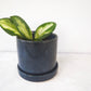 Cosmos Blue 3" Ceramic Plant Pot and Saucer