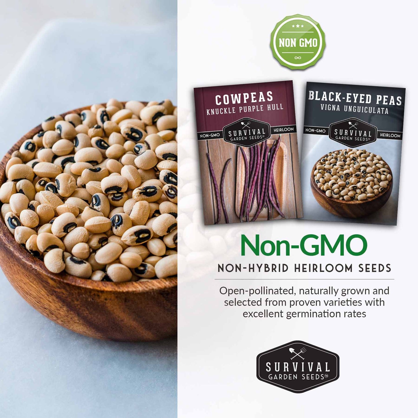 Cowpea Seed Collection – Black-Eyed Peas & Knuckle Purple Hull Cowpeas for Warm-Season, High-Nutrition Gardens