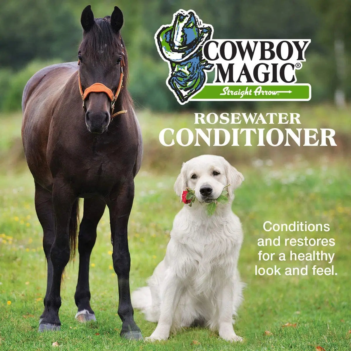 Cowboy Magic Concentrated Rosewater Conditioner 16 oz. Horse Dogs Cat & Humans