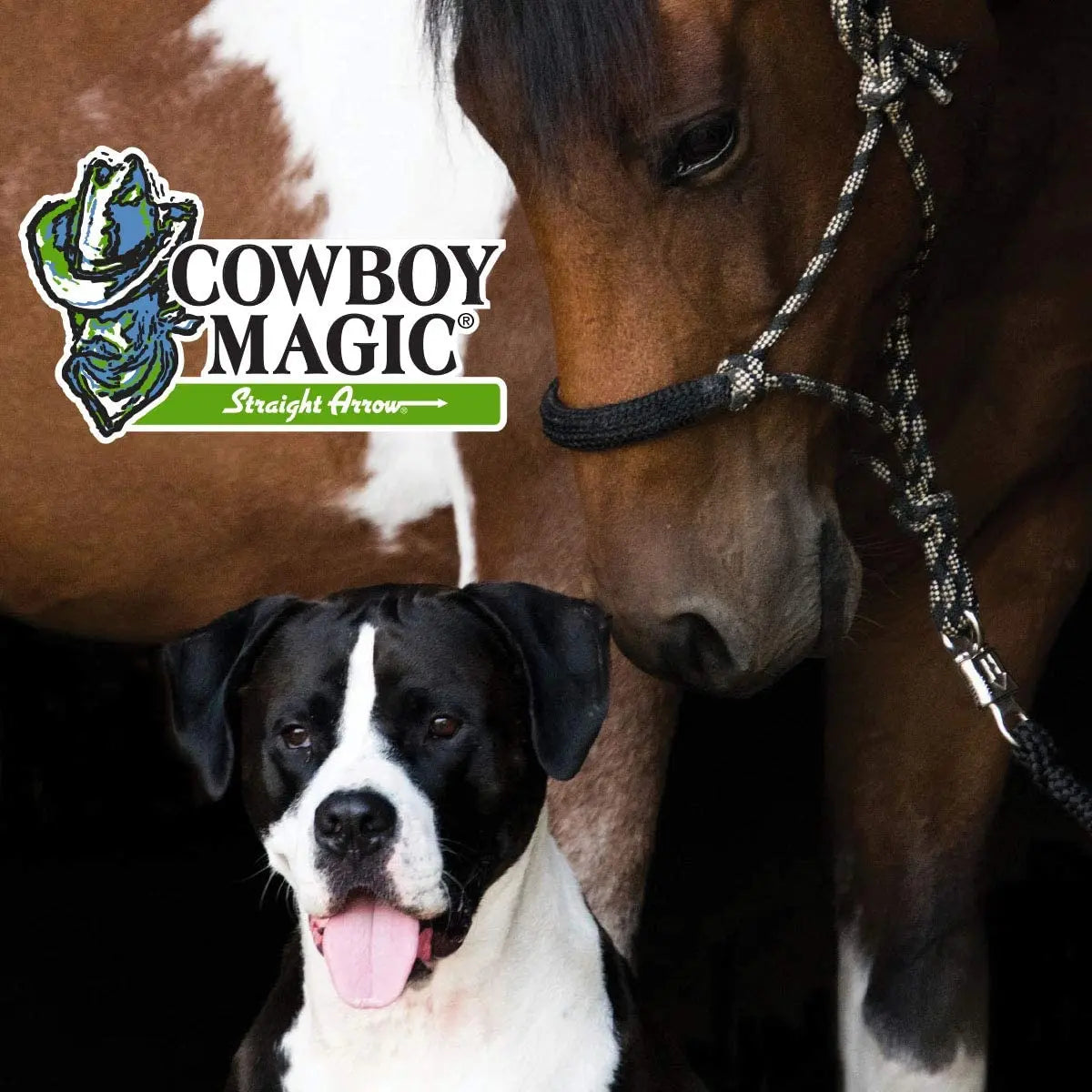 Cowboy Magic Concentrated Rosewater Shampoo 16 oz. for Horse Dogs Cat & Humans