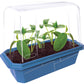 Slicing Cucumbers Sprouter Terrarium