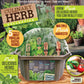 Culinary Herb Collection Biosphere Terrarium