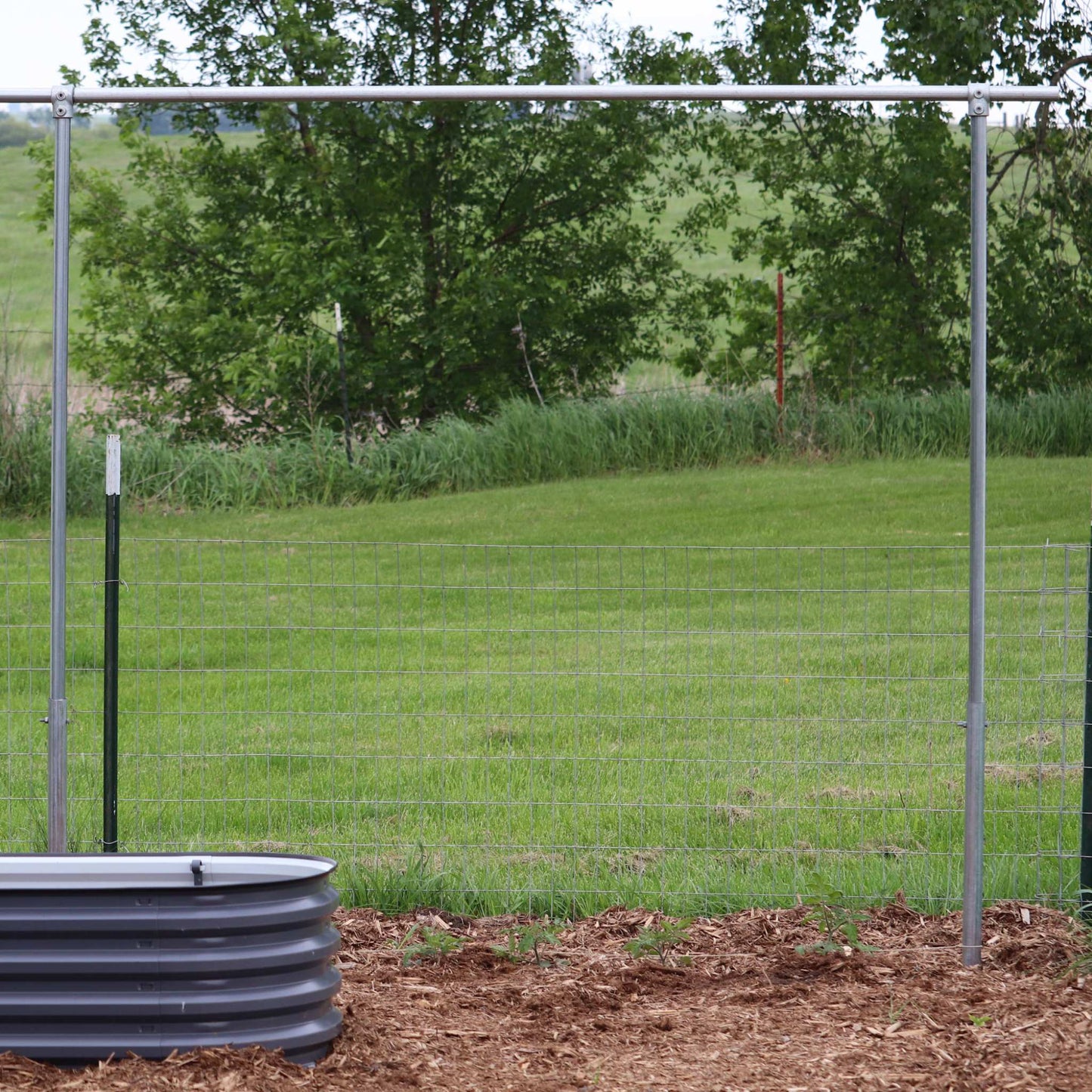 DIY Tomato Trellis | 1 3/8" Heavy Duty