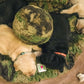 HuggleCause™, Warrior Canine Connection, Camouflage HuggleFleece® Plush Ball Dog Toy