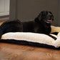 Scout Perfect Bolster Dog Bed