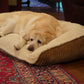 Scout Perfect Bolster Dog Bed