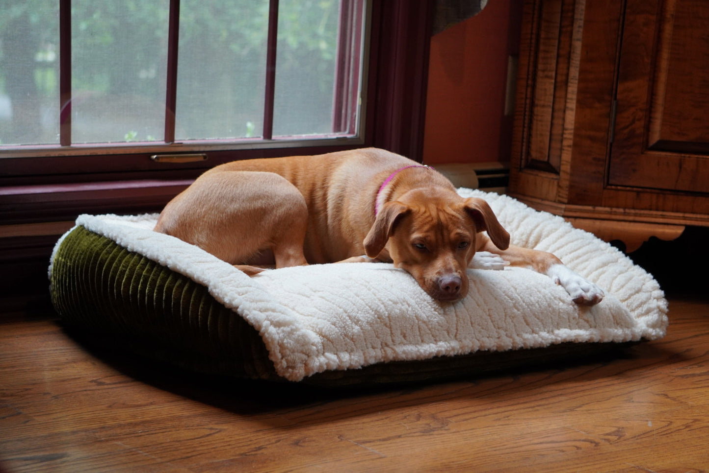 Scout Perfect Bolster Dog Bed