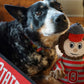 NCAA Ohio State University, Brutus the Buckeye Knottie® Plush Dog Toy