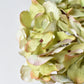 30" Faux Hydrangea Stem Green Lavender