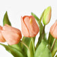 11.75" Faux Real Touch Orange Sorbet Tulip Stem Bundle
