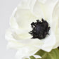17" Faux Anemone White Stem