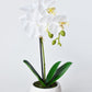 14" Faux Potted Orchid White