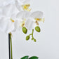 14" Faux Potted Orchid White