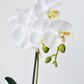 14" Faux Potted Orchid White
