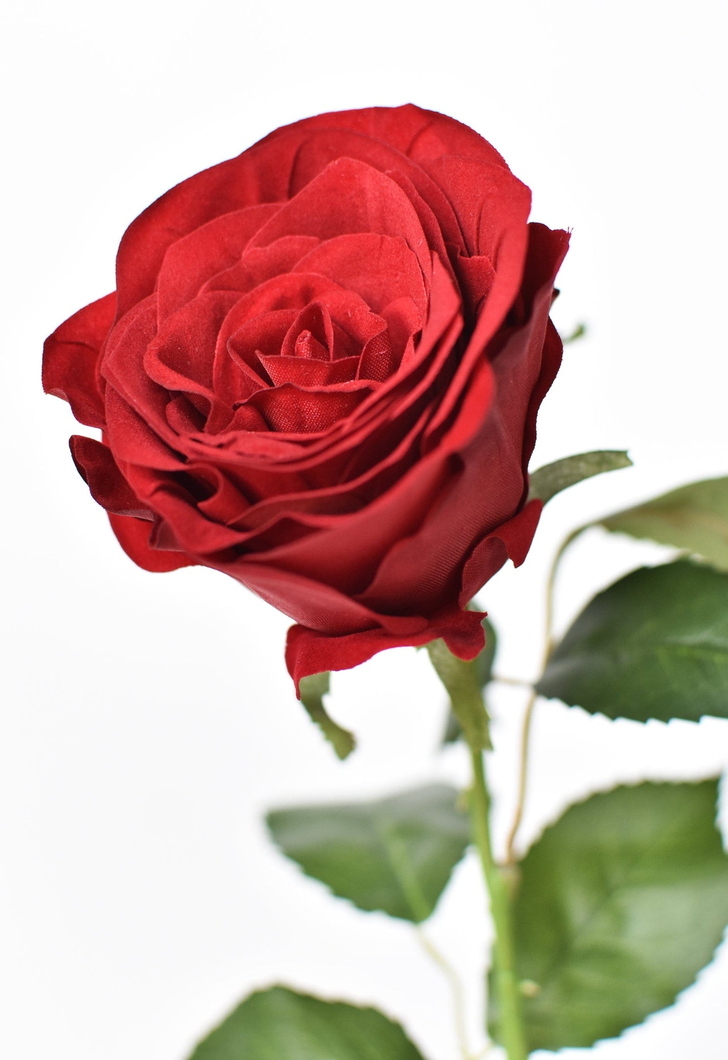 22" Faux Red Velvet Rose Stem