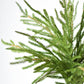 20" Faux Green Norfolk Pine Bush