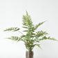 25" Faux Forest Fern in Glass Vase