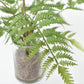 25" Faux Forest Fern in Glass Vase