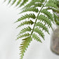 25" Faux Forest Fern in Glass Vase