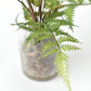 25" Faux Forest Fern in Glass Vase