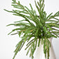 20" Faux Green Norfolk Pine Bush