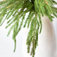 20" Faux Green Norfolk Pine Bush