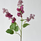 34.5" Faux Vibrant Pink/Purple Lilac Stem