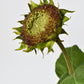 28" Aged Brown Sunflower Stem