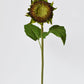 28" Aged Brown Sunflower Stem