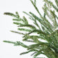 20" Faux Whitewash Green Norfolk Pine Spray Bush