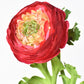 13" Faux Red Ranunculus Stem