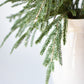 20" Faux Whitewash Green Norfolk Pine Spray Bush