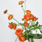 22" Faux Mini Orange Ranunculus Stem