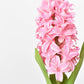 12.5" Faux Hyacinth Pink Stem