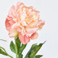 28" Faux Peach Peony Stem