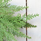 Small Cedar Wreath (4.5" Center Ring) CW2