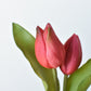 8" Faux Real Touch Fuchsia Tulips in Bulb w/pick