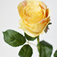 22" Faux Large Rose Bud Stem Yellow