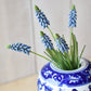 12.5" Faux Blue Muscari Bush Grape Hyacinth