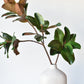 40" Faux Magnolia Leaf Branch