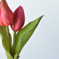 8" Faux Real Touch Fuchsia Tulips in Bulb w/pick