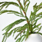 36" Faux Green Norfolk Pine - Cypress Spray Stem