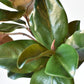 40" Faux Magnolia Leaf Branch