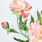 28" Faux Peach Peony Stem